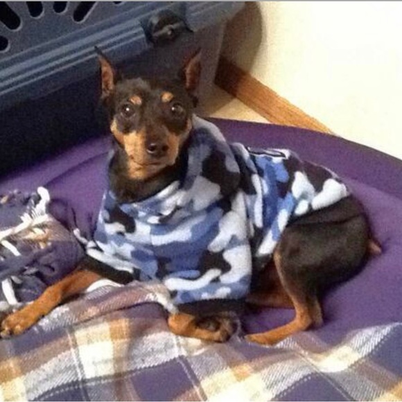 DGG Other - NEW Limited Edition DGG Dog Blue Camo Hoodie M